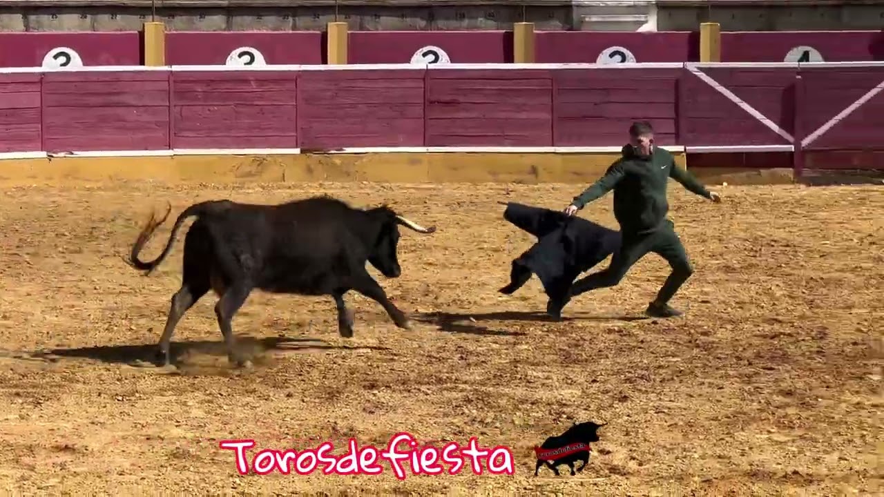 Capea de campeones! Nueva ganadería Virgen del Pilar