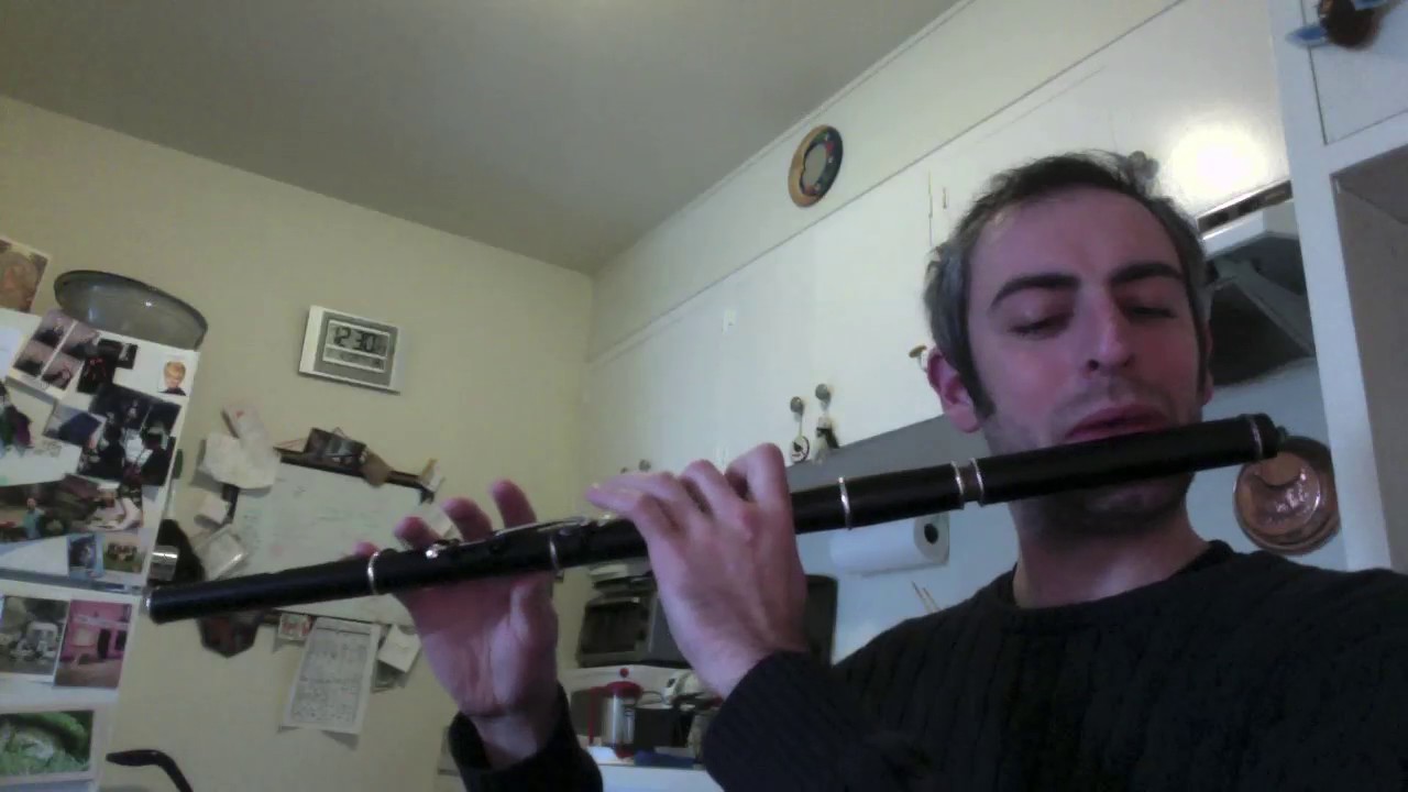 Geese in the Bog #2 - Irish Flute - slow/fast