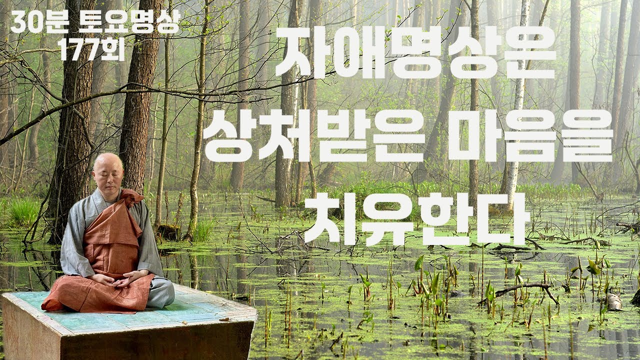 아픈 마음을 치유하는 최고의 명상법, 자신에 대한 자애명상! ㅣ토요명상 177회ㅣ혜안스님