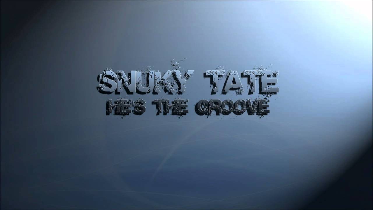 Snuky Tate - He's The Groove