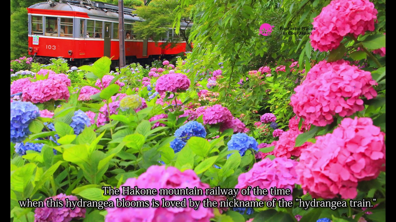 Hakone Tozan Densha (Hakone Mountain Railway), Kanagawa