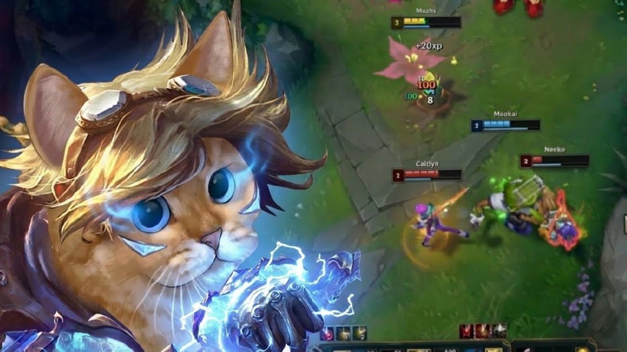 Al GATO le tocó ser CARREADO