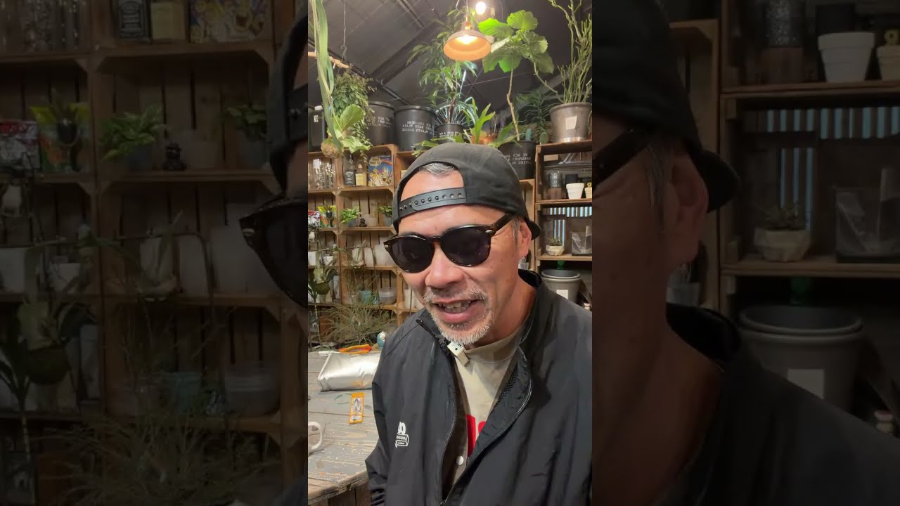 ほんわかアロイダーズ がライブ配信中！