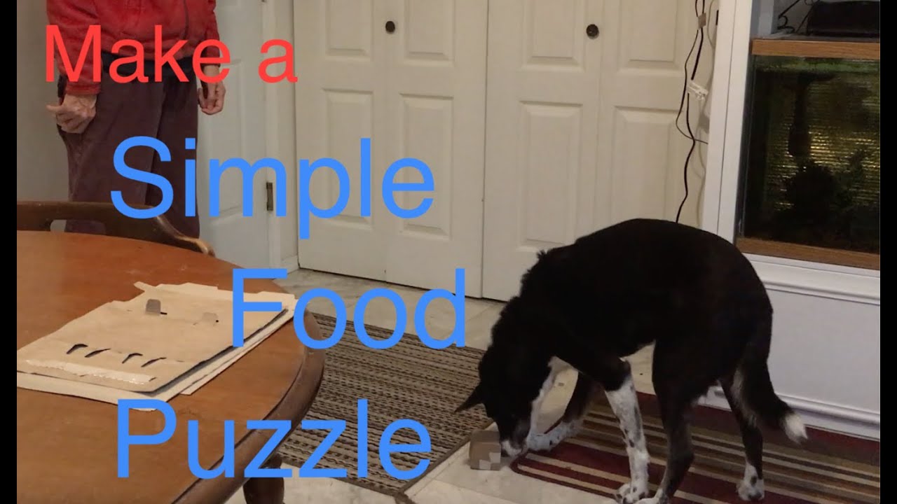 cardboard food puzzle box enrichment game