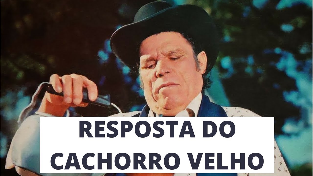 Gildo de Freitas - Resposta do Cachorro Velho