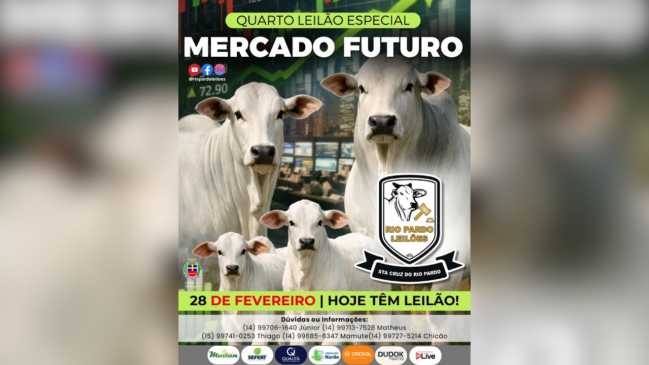 4º LEILÃO ESPECIAL MERCADO | RIO PARDO LEILÕES | LEILÃO AO VIVO | 28/02/26