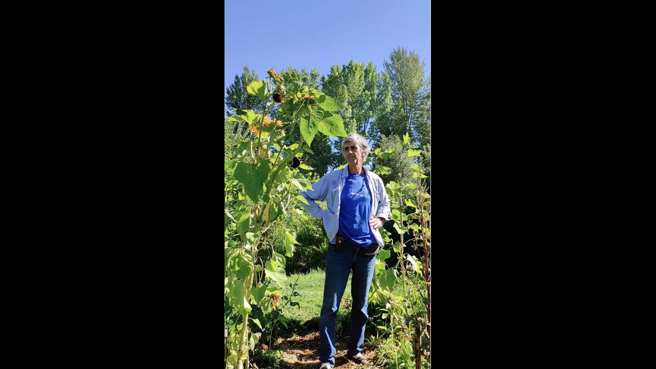 Fernando P&iacute;a de CIESA: recorrida por la huerta en Las Golondrinas, Chubut