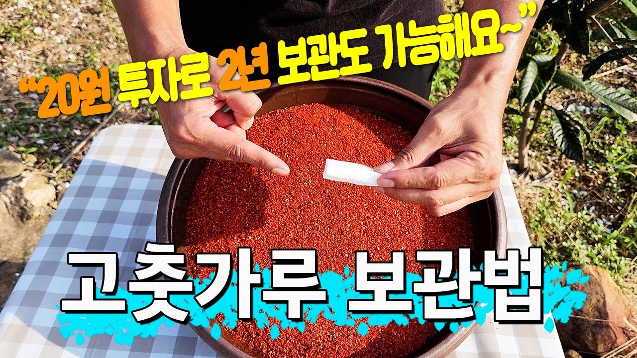 좋은 고춧가루 추천 💥제발 고춧가루 냉장고 냉동고에 보관하세요 / 고춧가루 보관법 1년 이상 보관 꿀팁 / 색과 맛을 유지하는 비결