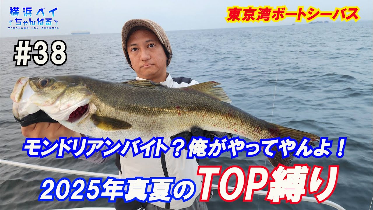 真夏でも朝イチならトップでワンチャンあるんじゃね！？[実釣] #38 #ボートシーバス #トップウォーター  #東京湾