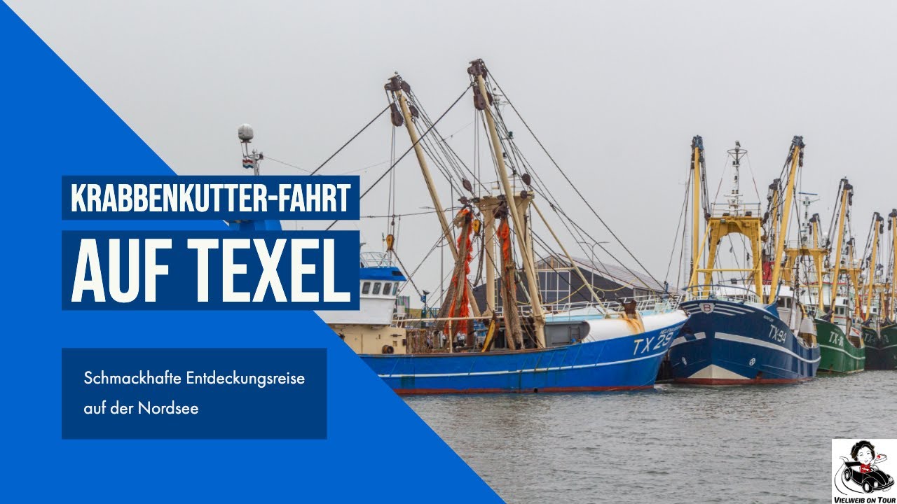 Fahrt mit dem Krabbenkutter auf Texel