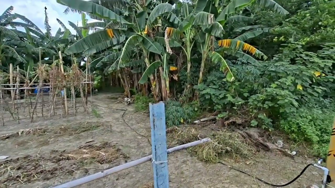 專任約苗栗銅鑼火車站農建地