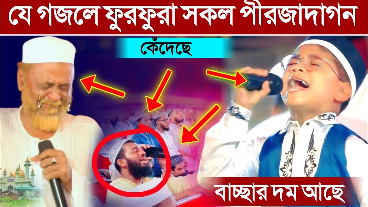 ওহঃ বাচ্ছা ছেলের দম দেখুন┇যে গজল গেয়ে ফুরফুরার পীরজাদাদের কাঁদিয়েছে┇শিশু শিল্পী তৌফিক আলম।
