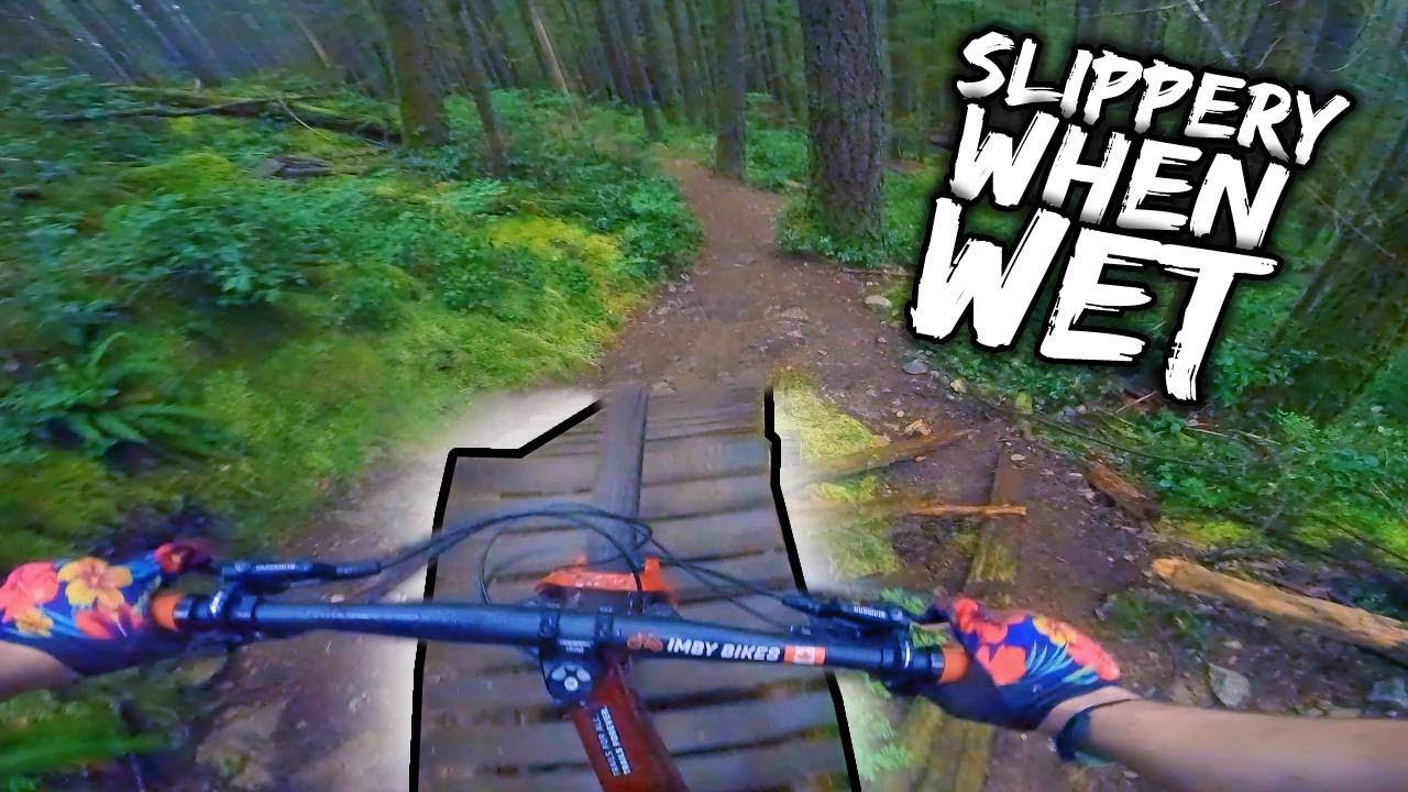 Racing Through a 𝙍𝙖𝙞𝙣𝙛𝙤𝙧𝙚𝙨𝙩