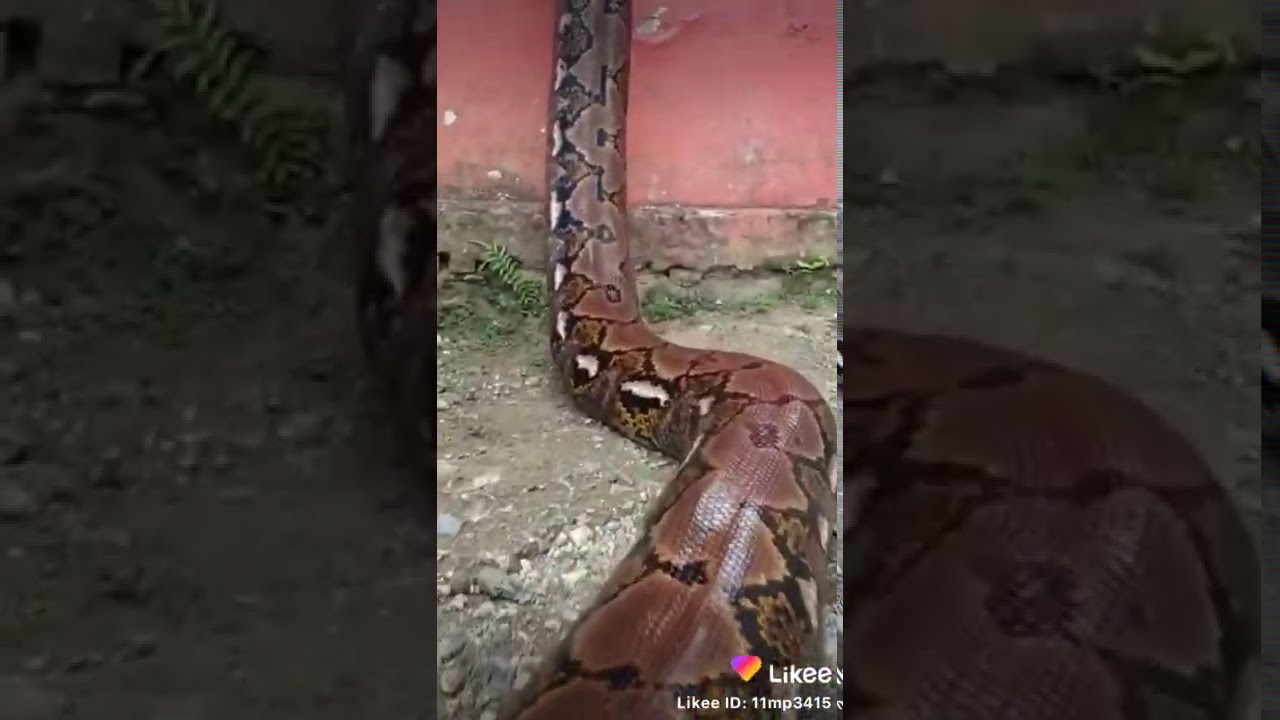 Gravo esto con mi dron