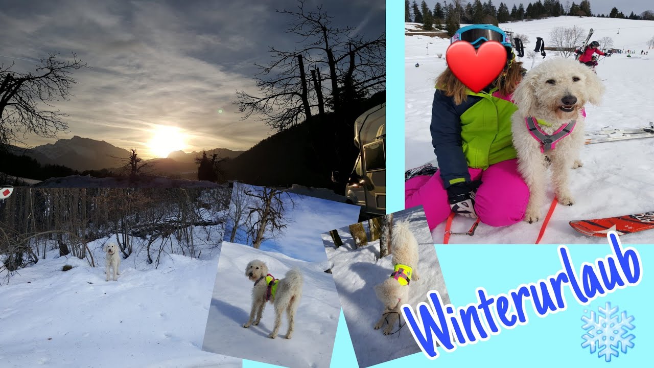 FMA/ Winterurlaub❄Skifahren|Luni cia