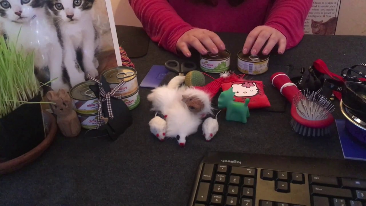 ASMR Pet Store RolePlay: What do you need for a purrrfect cat?