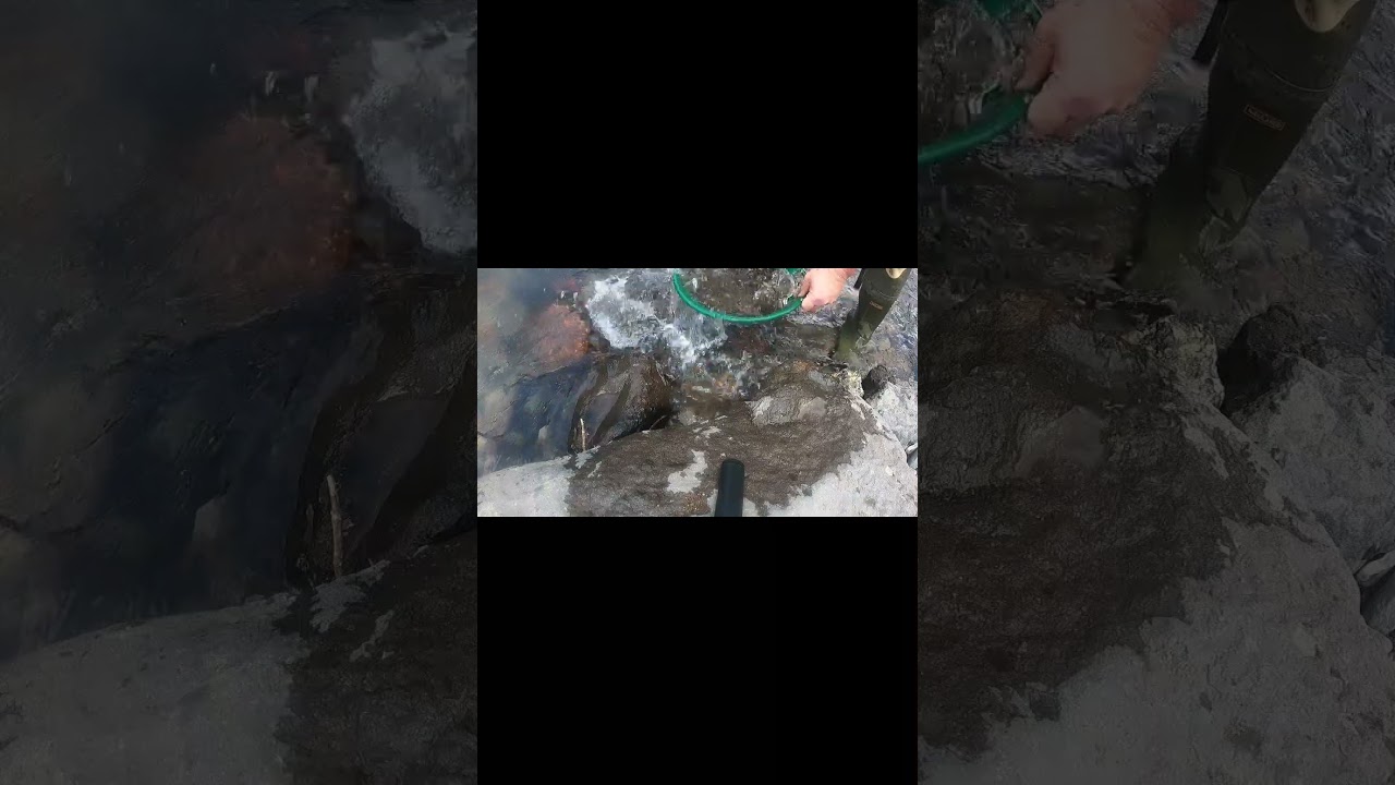 Placer Gold Mining in Colorado