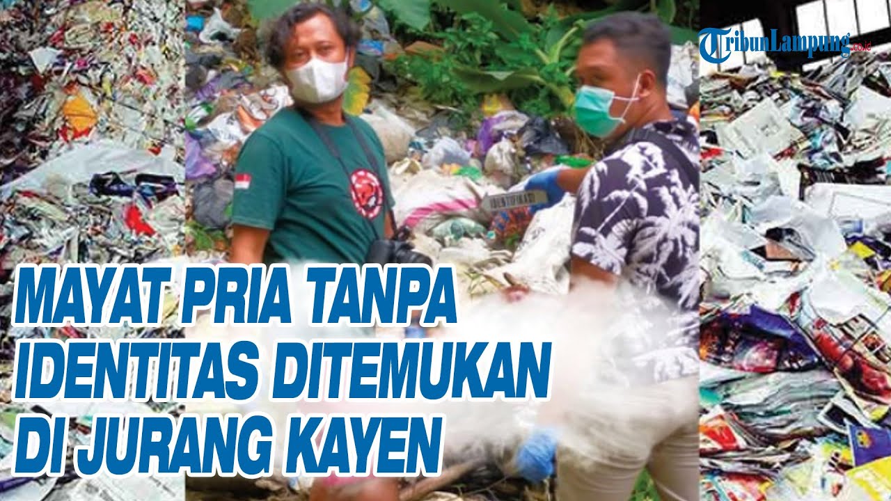 Mayat Pria Membusuk Ditemukan dalam Dasar Jurang di Pati, Diduga Korban Pembunuhan