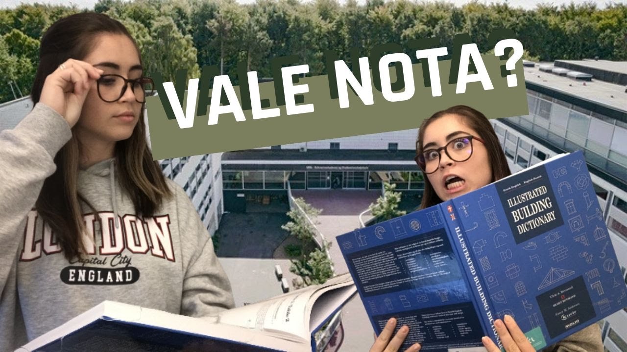DIFERENÇA ENTRE AS FACULDADES NA DINAMARCA E NO BRASIL