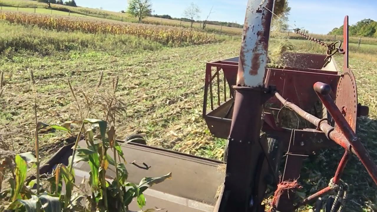 Flail Chopping Sweet Corn Continues!!!