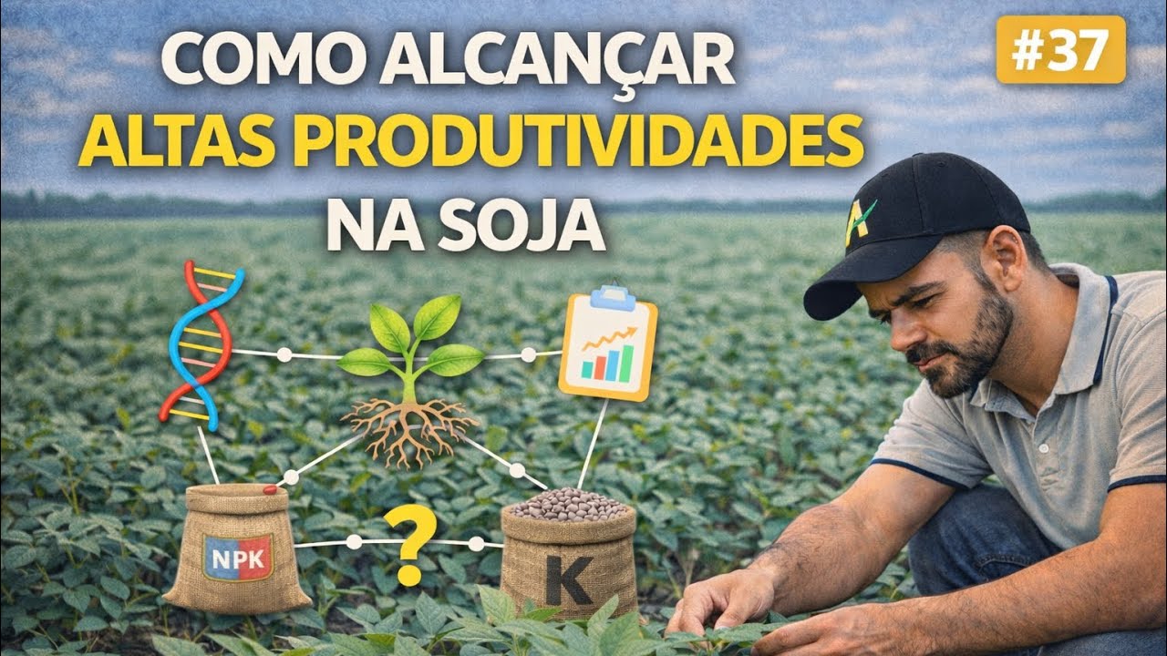 O que realmente limita altas produtividades na soja?#37#