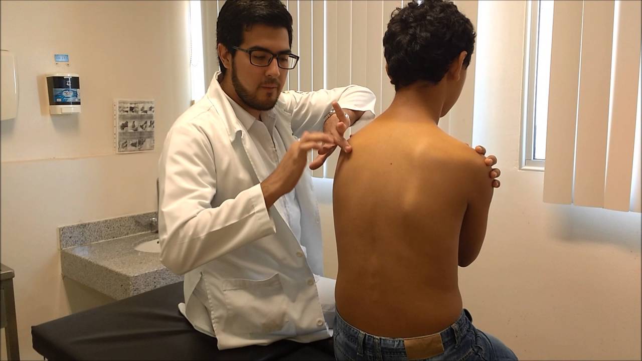 PERCUSI&Oacute;N PULMONAR y ruidos a la percusi&oacute;n