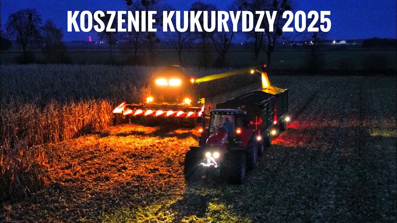 Koszenie kukurydzy 2025 Fendt vs górka