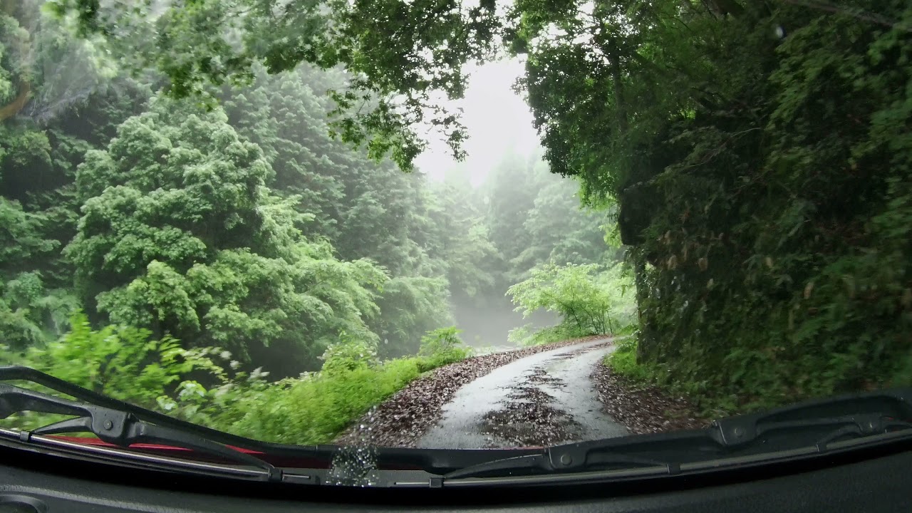 【酷道車載】国道488号/湯来→吉和間