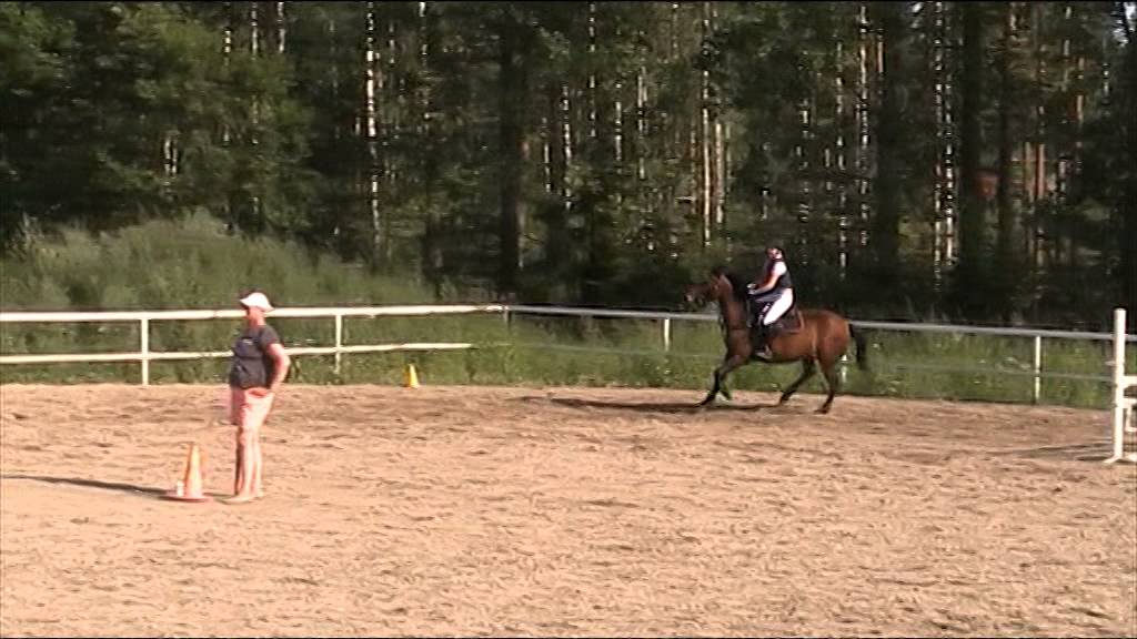 Noora&Arahiit 100cm 26.7 2014 4vp