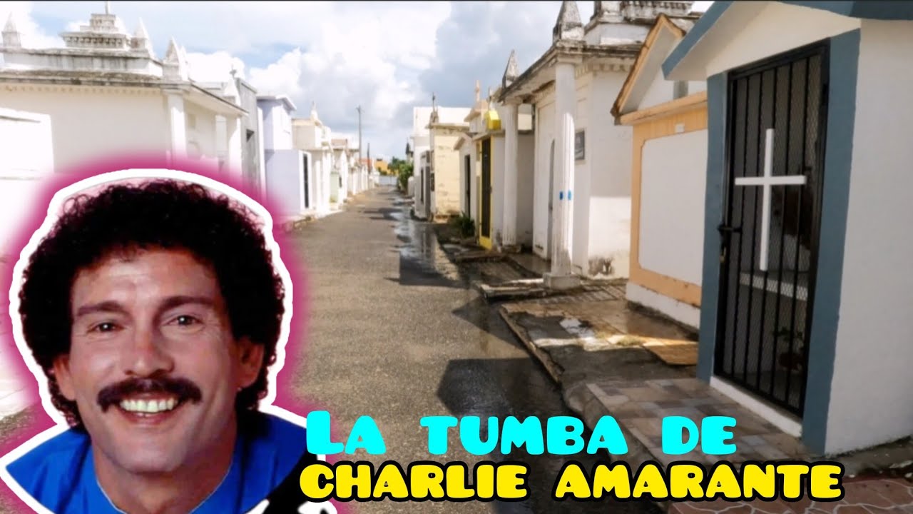 🇩🇴VISITANDO LA TUMBA DE CHARLIE AMARANTE  músico y cantante de merengue.