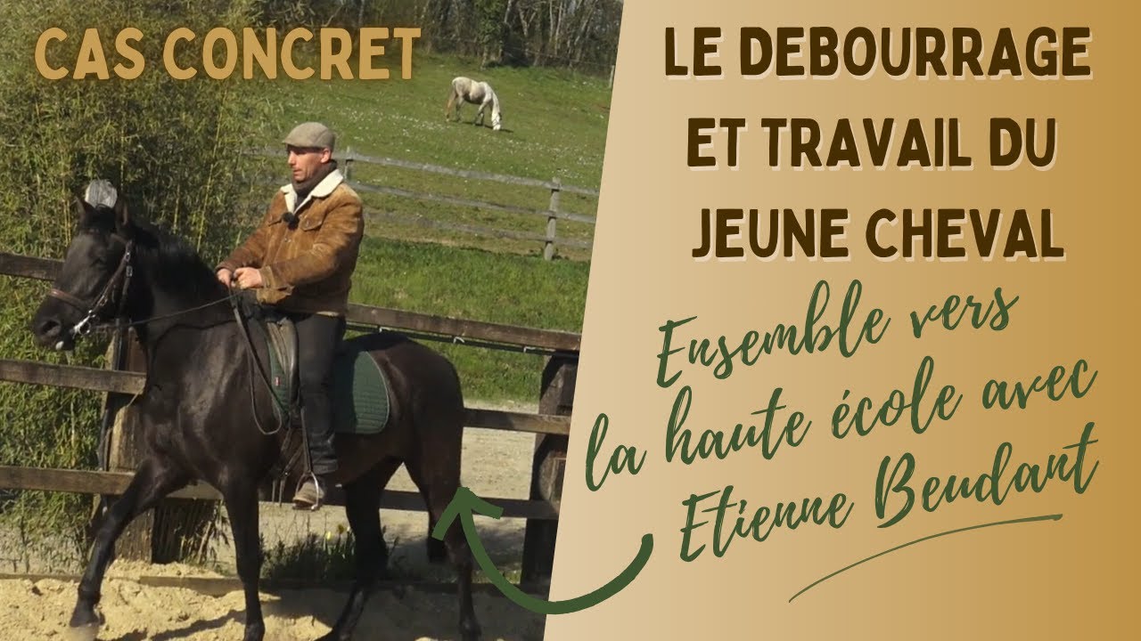 ⭐ le d&eacute;bourrage et travail du jeune cheval selon des principes d'Etienne Beudant⭐