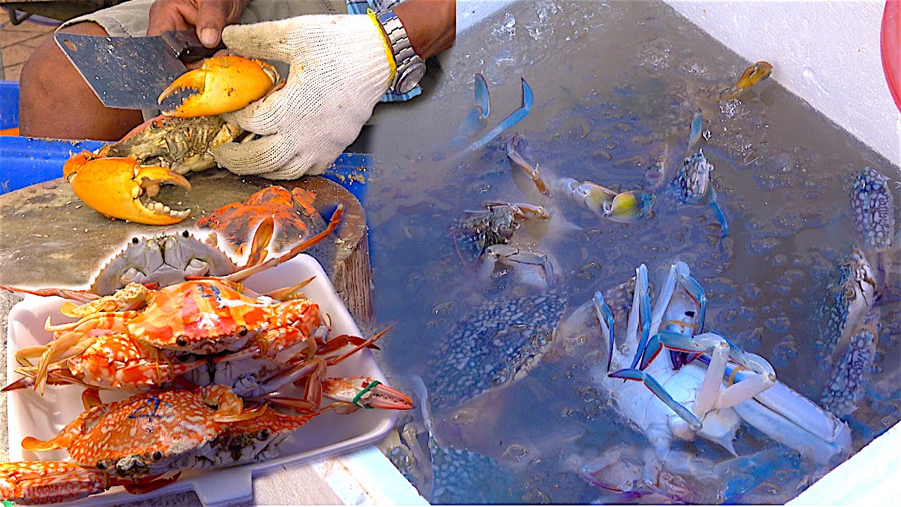 Fresh Crabs Cooking - Flower crab, Sea crab | Street Food Seafood Event