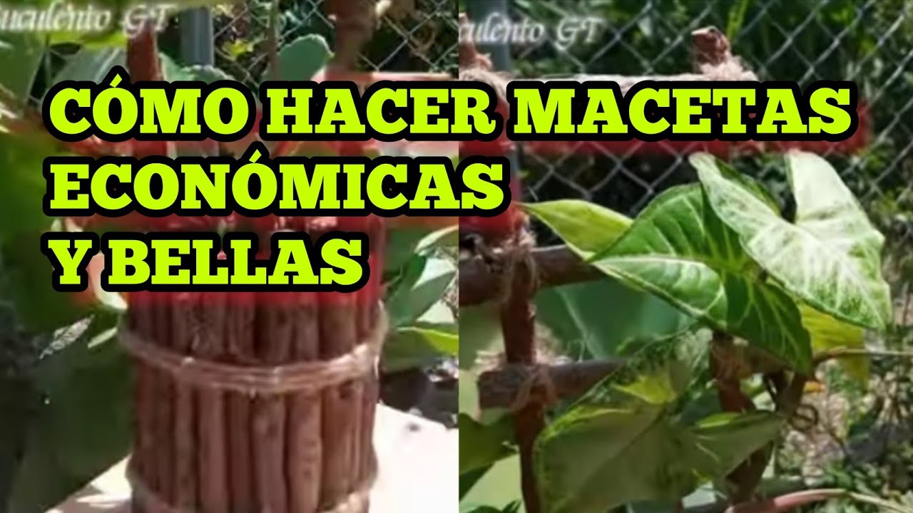 Haz está hermosa maceta sin gastar un solo centavo - De la basura a mi jardín #reciclaje #jardin