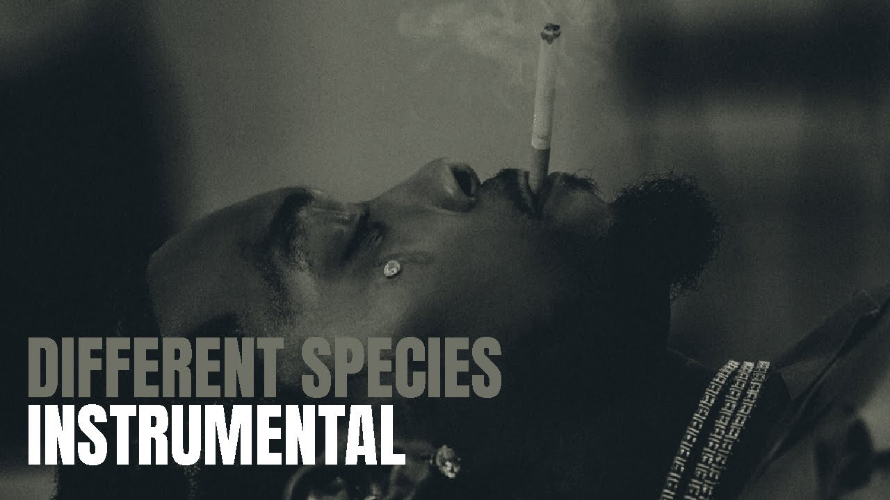 Offset - Different Species (Instrumental) ft. Gunna