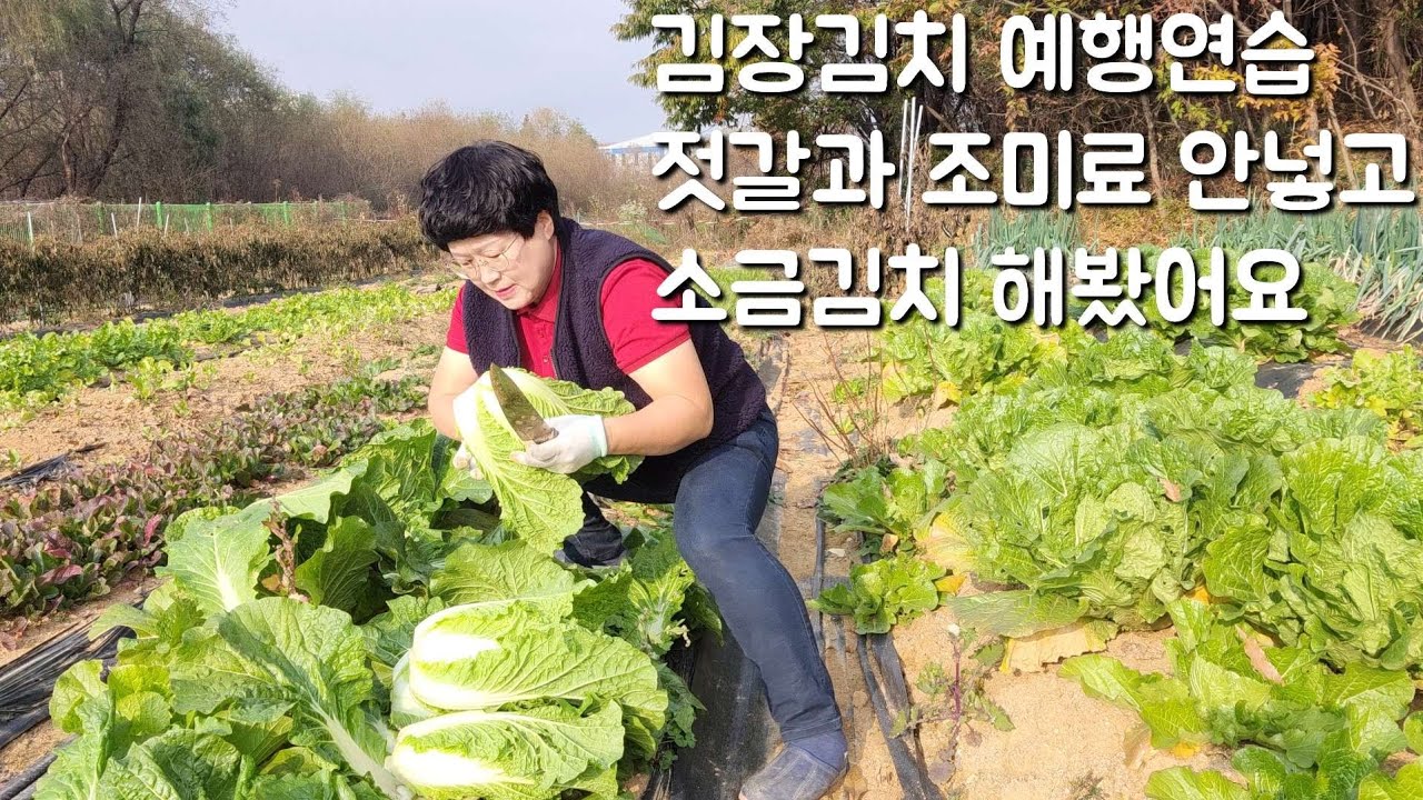김장 예행연습 겸 소금김치 담아요 (간장소금 마감 됐어요 감사합니다)