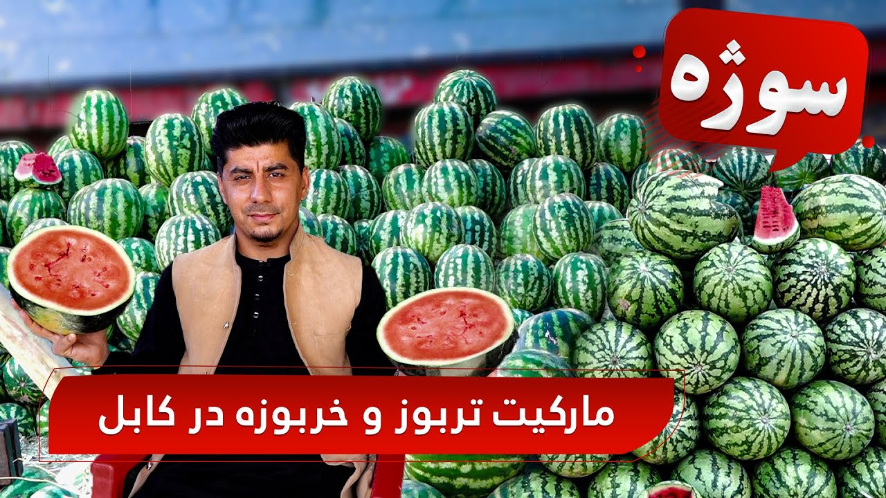 Sozha – Watermelon and melon market in Kabul / سوژه: مارکیت تربوز و خربوزه در کابل