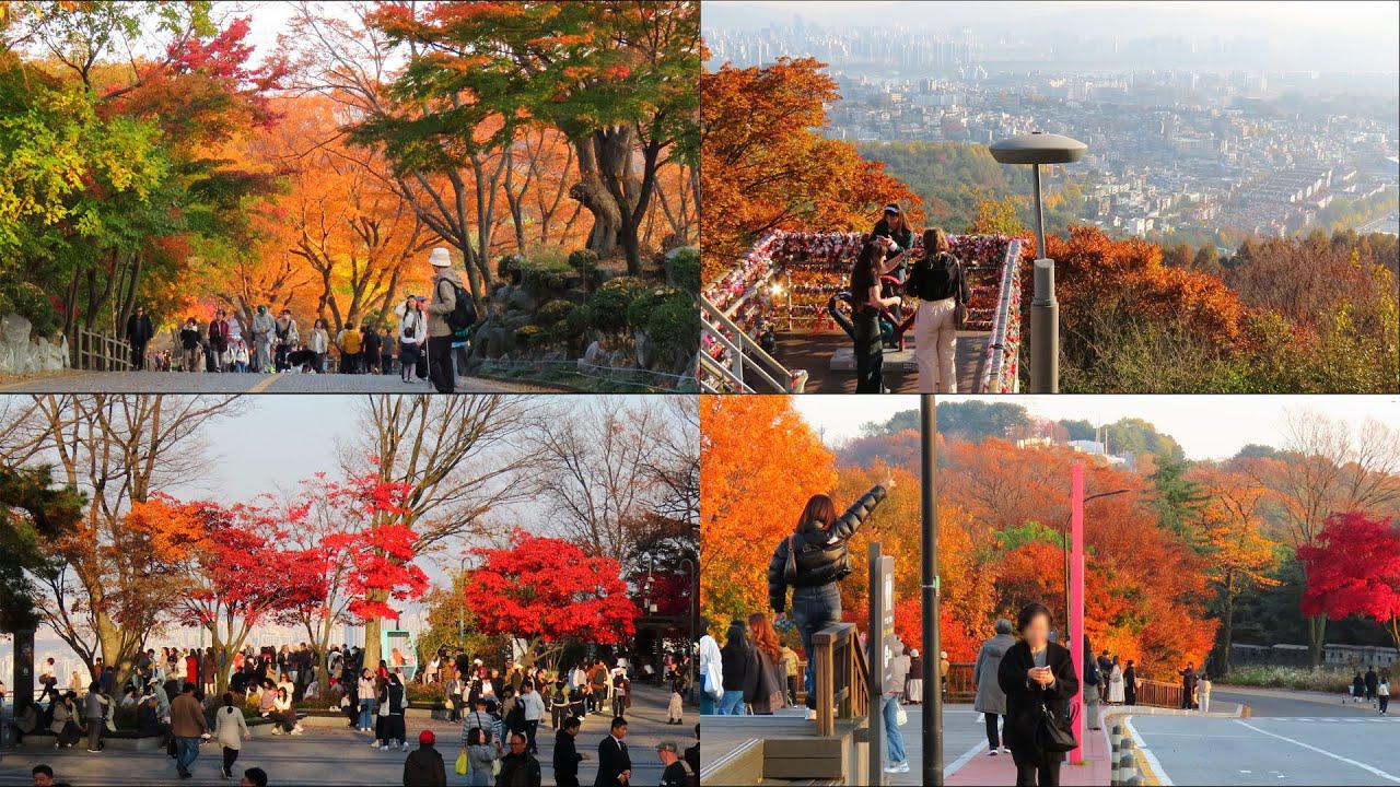 Namsan Mountain in Seoul is bursting with brilliant autumn colors