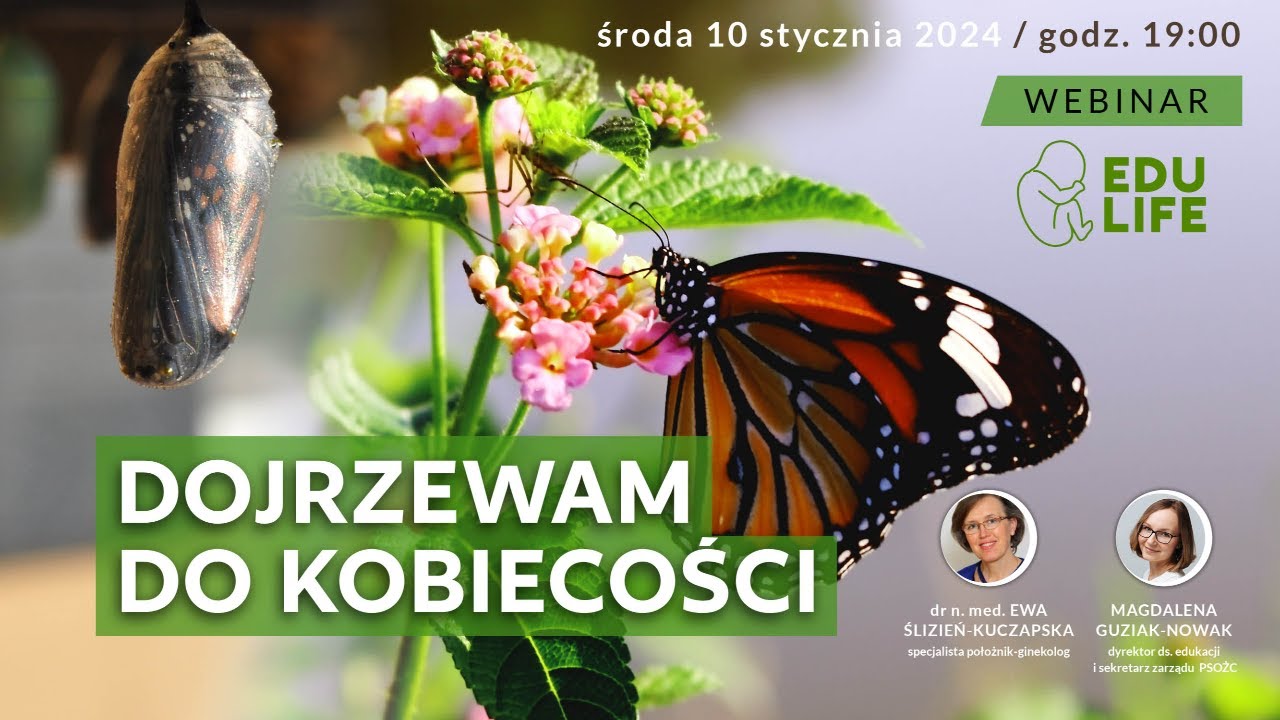 Webinar EduLife  &ndash; 