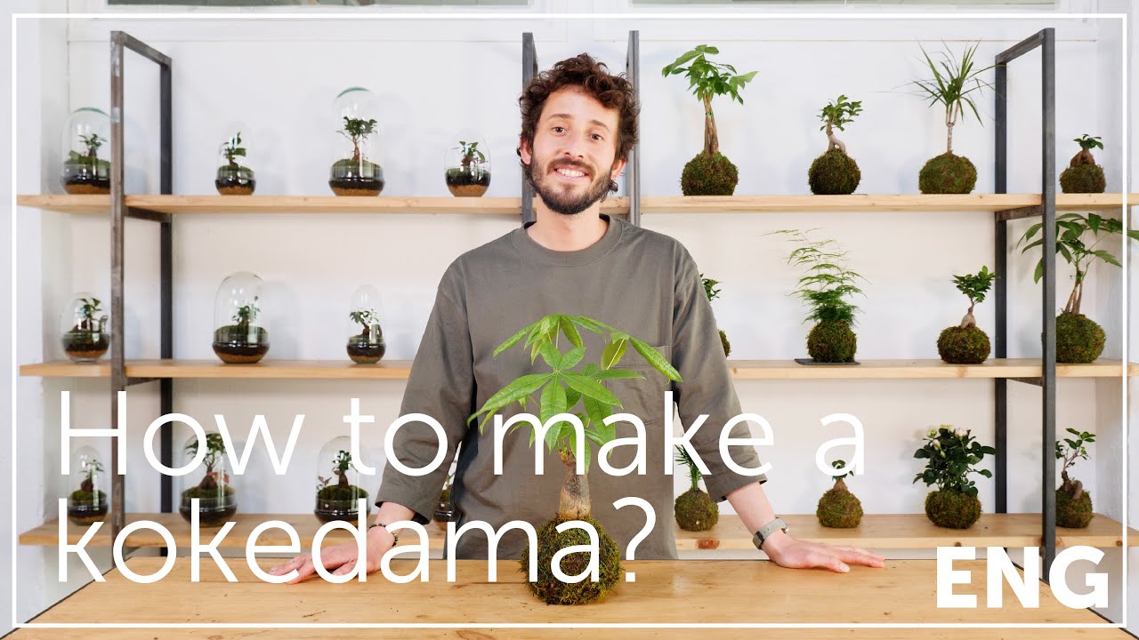 How to make a kokedama? (English version)