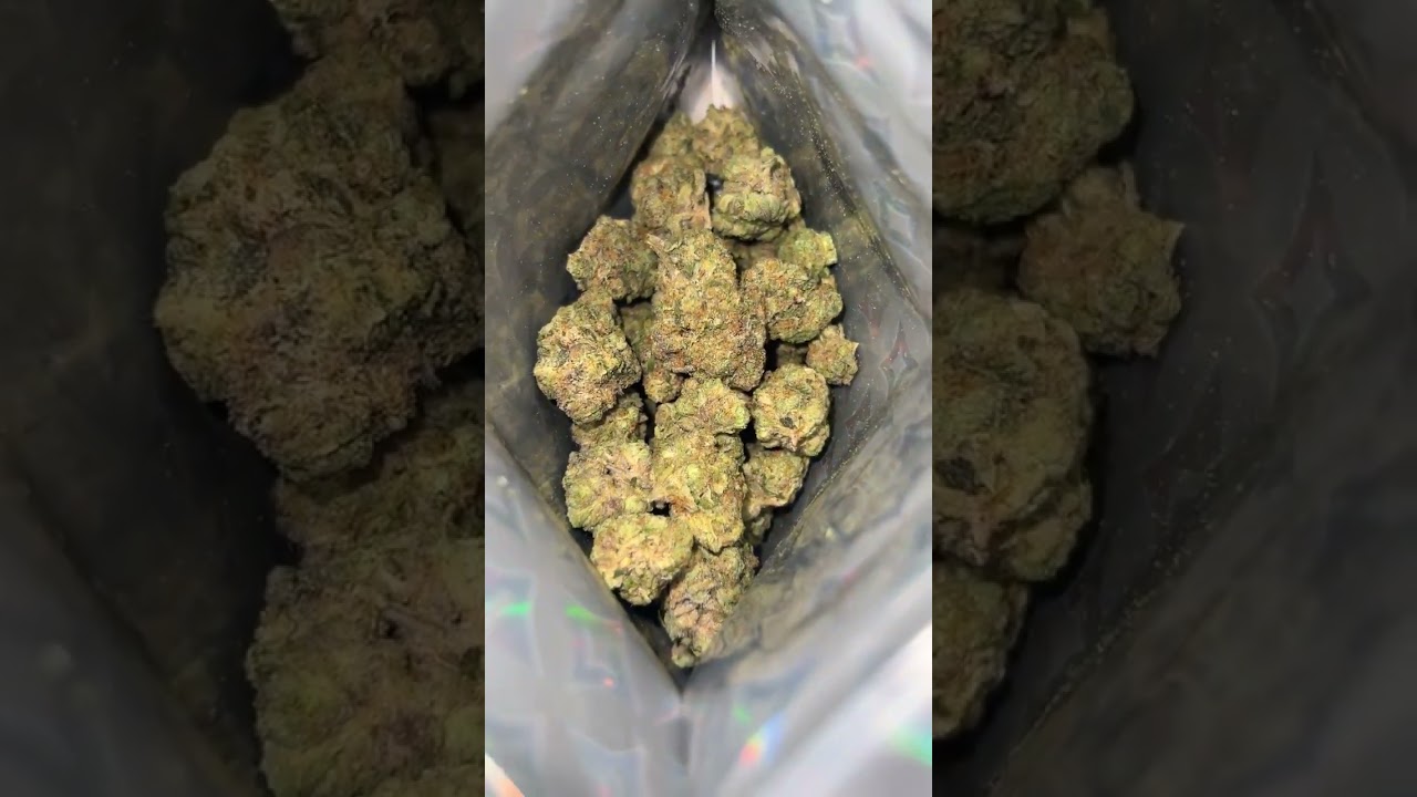 Lit Farms Gary Payton!🔥🛬 $60 ounces link in bio!!! #Lit