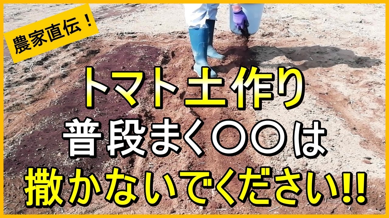 【トマト栽培】土作りは超重要！必ず撒くものと撒かない方が良いもの【有機農家直伝！無農薬で育てる家庭菜園】　25/4/12