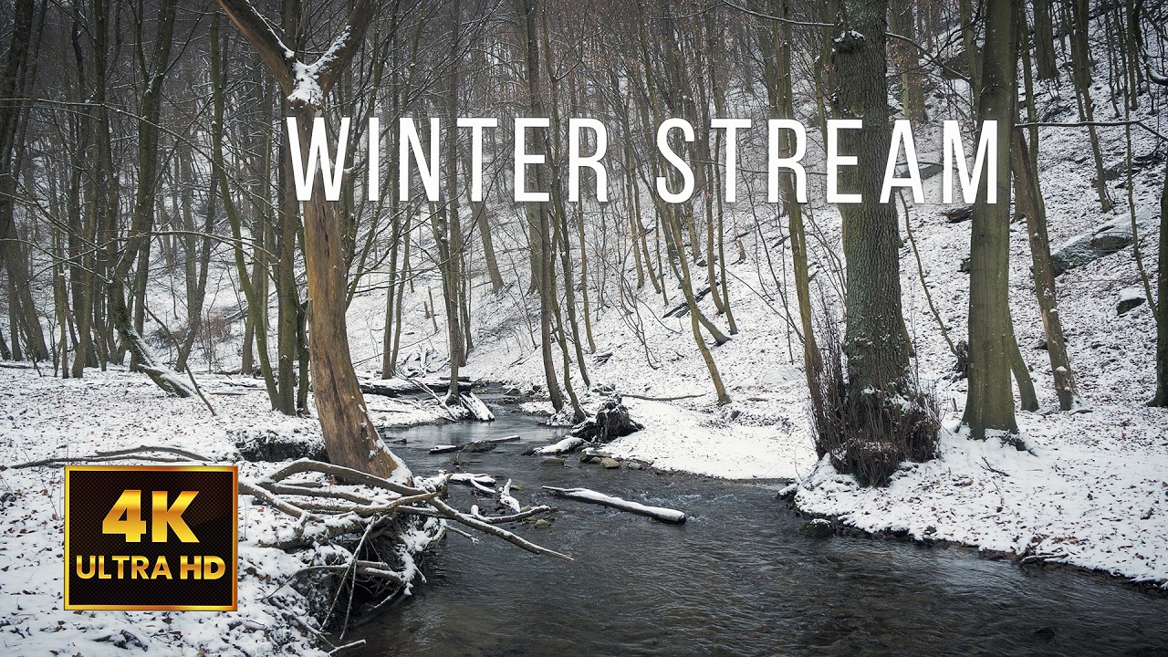 ❄️ 10 Hours of Winter Stream | Snowy Forest Creek Ambience for Sleep & Focus | 4K UHD
