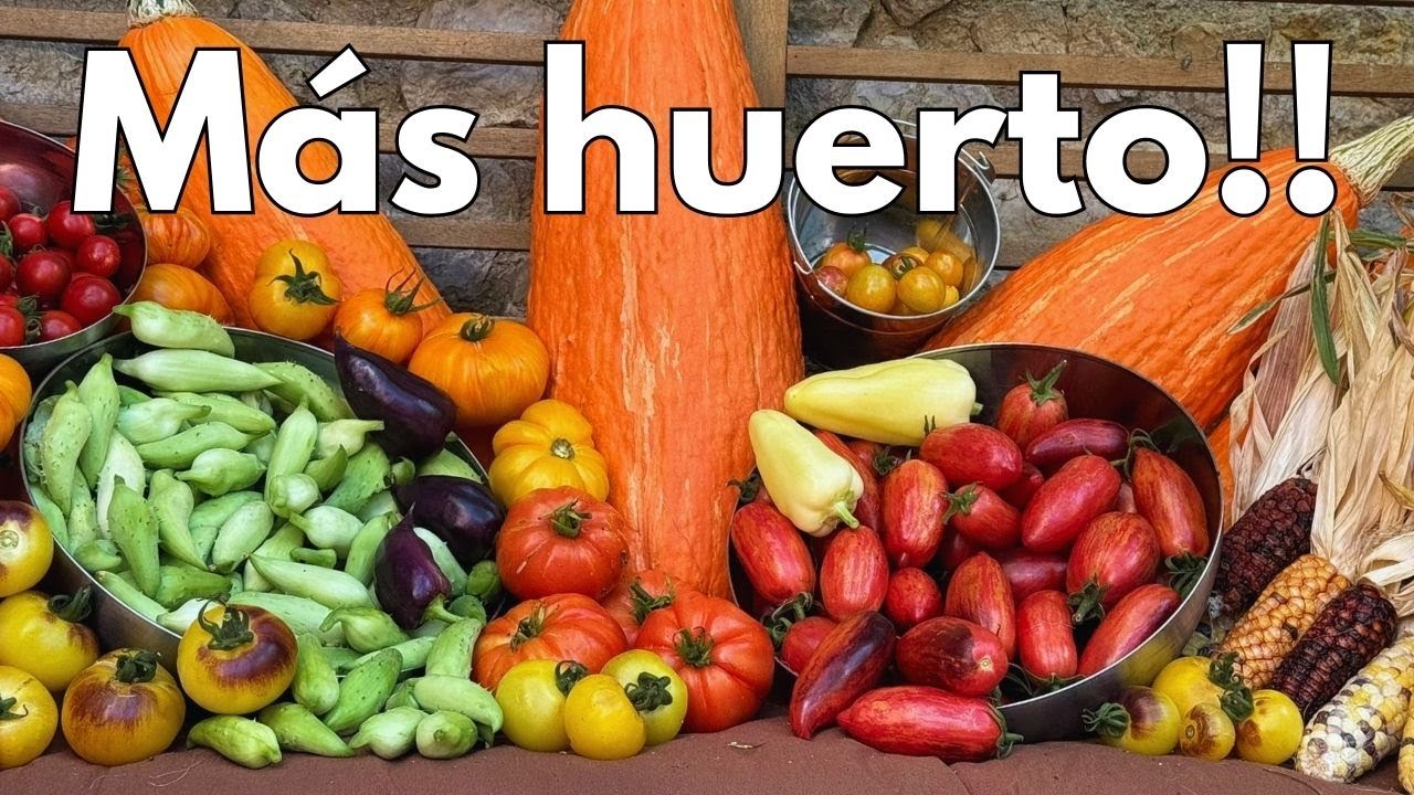 TRIPLICAR el HUERTO (en 6 meses)!! 🤯