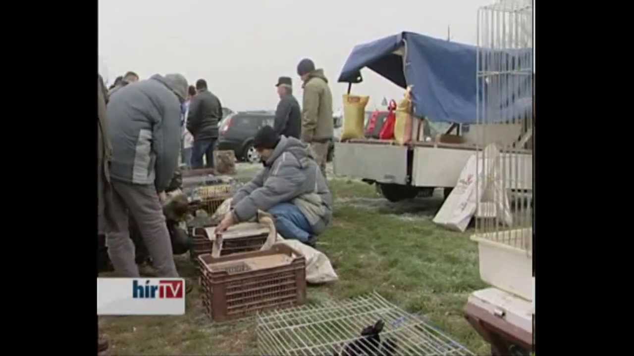 Ónodi Vásár a Soroló című vidékmagazinban. 2013. december.