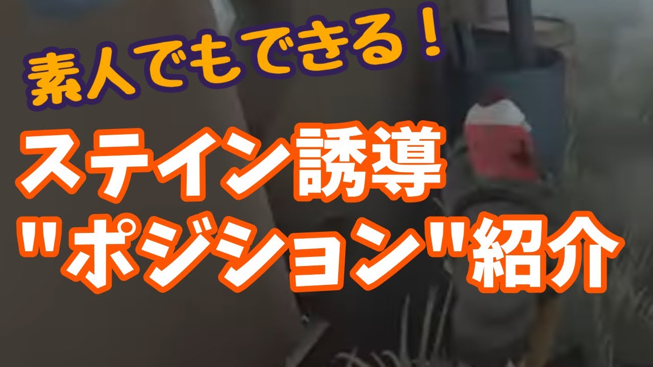 【第五人格】素人でもできる！絶対に覚えてほしいステイン誘導”ポジション”を紹介！！