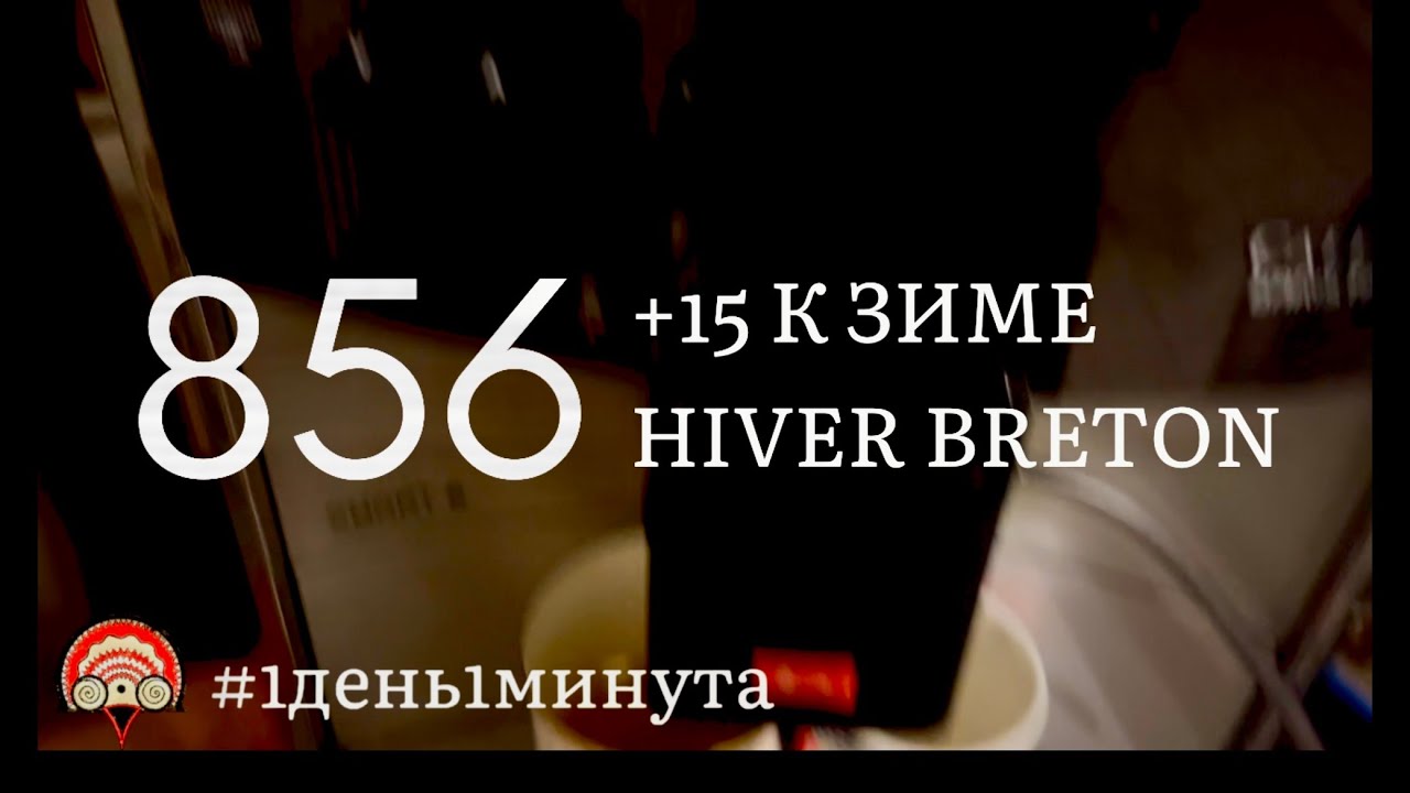 L&rsquo;hiver breton +15C к зиме #856 январь 23 2024 #1день1минута #франция #bretagne
