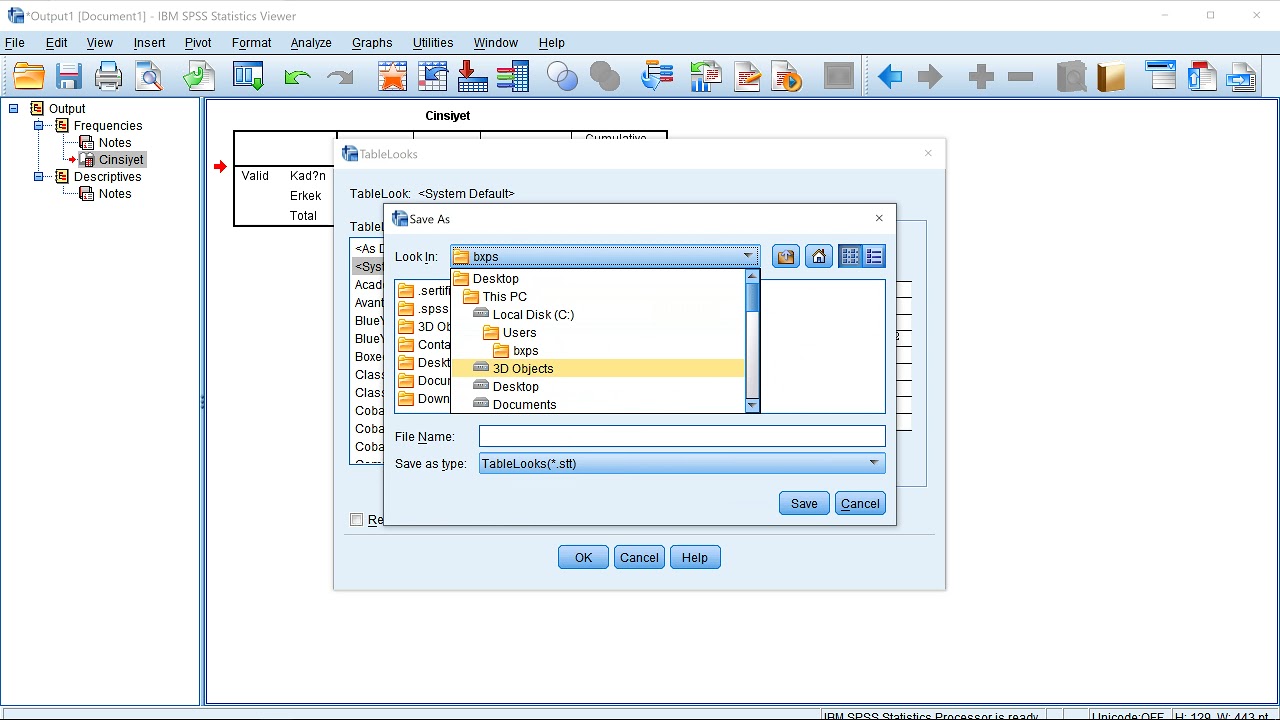 SPSS'de APA Stili Tablo Oluşturma