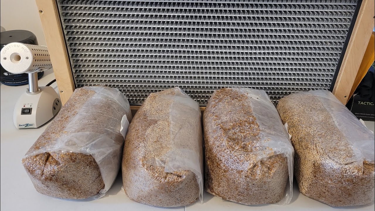 Как стерилизовать пакеты с грибным мицелием в 23-литровом Presto