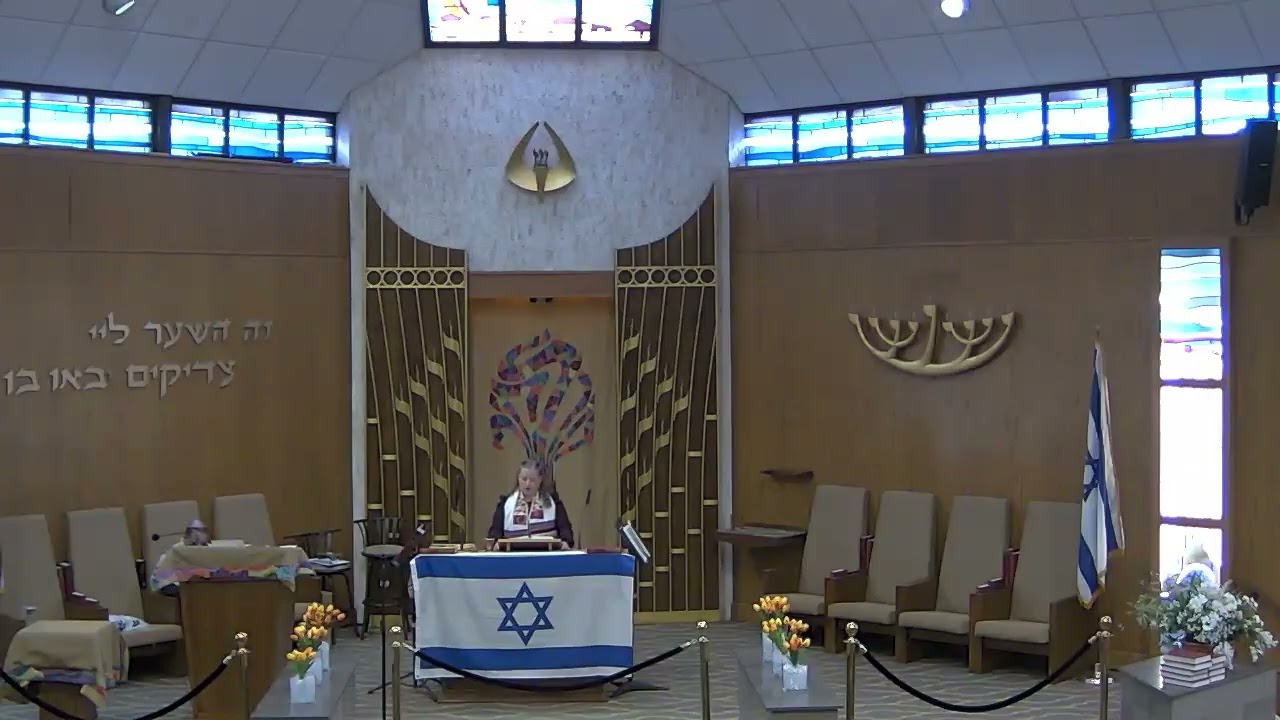 Carmel's Bat Mitzvah Vayishlach @Marlboro Jewish Center