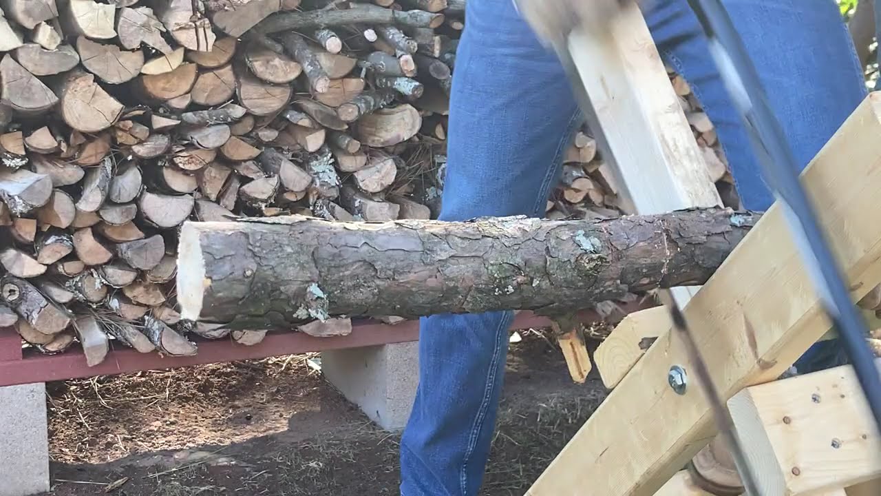 Bucking Pine with a Bow Saw